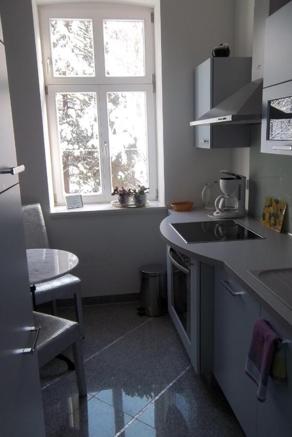 Apartmenthaus Saxonia Bad Schandau Quarto foto